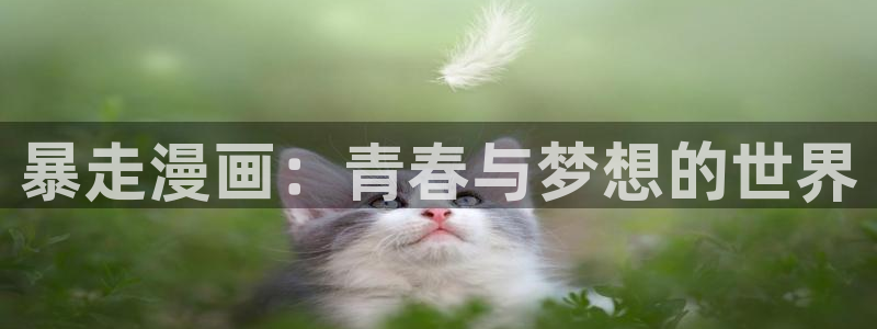 汗汗漫画怎么不见了：暴走漫画：青春与梦想的世界